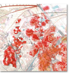digitale Collage > rhizinus red
