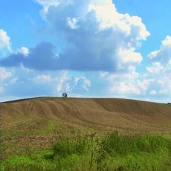 Schönheit kommt von innen, 2010
