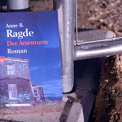 Anne B. Ragde – Der Arsenturm