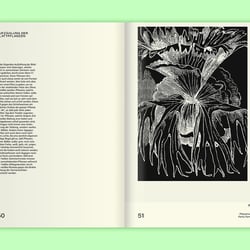 Leafy House Plants Von Benjamin Wurster