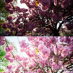 Nature & Landscape II