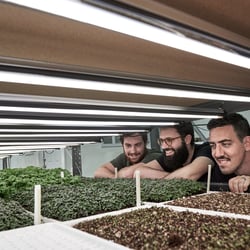 EDENWORKS for THE HUNDERT – STARTUPS OF NEW YORK