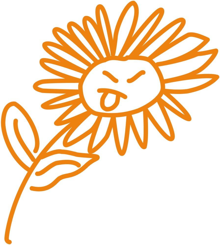 Gemeines Gänseblümchen