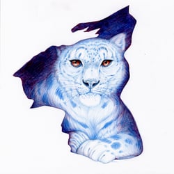 Schneeleopard