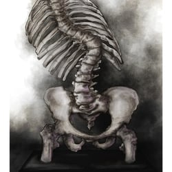 MORBID ANATOMY V
