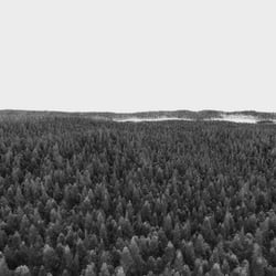 digital environments Ambient Occlusion