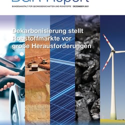 bgr report 21