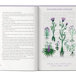 Page-Overlay Goodie