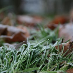 Eiskristalle