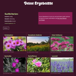 Nach eingegebenen Kriterien werden Suchergebnisse aus der Datenbank geholt und angezeigt.