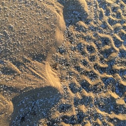 IMG Meer3