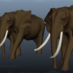 Elephant_01