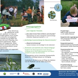 Flyer, Innenseite