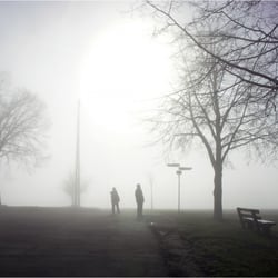Nebelmorgen