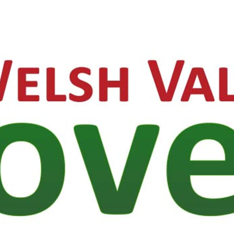 Welsh Valley Stoves