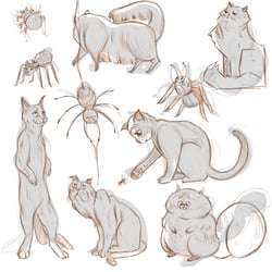 Character Design Kater Leo