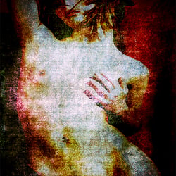 Torso 8012