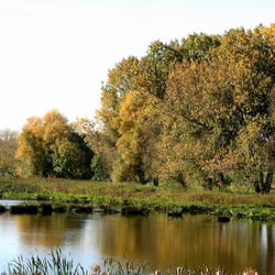 Zwischen Klein Ilsede und Hanndorf 6