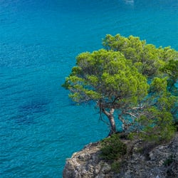 Ibiza