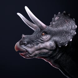 Triceratops