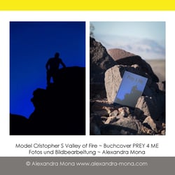 Portfolio Buchcover
