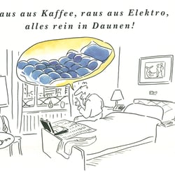 Tageszeitungs Ganzseiten für Betten- und Matratzenmärkte