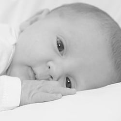 Baby_Maxi