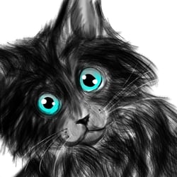 Katze