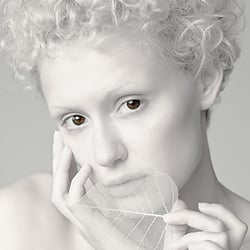 pure White_1