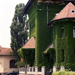 Constanza, Rumänien
