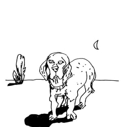 Depressiver Hund