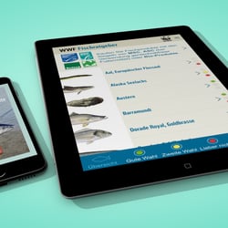 Responsive Darstellung