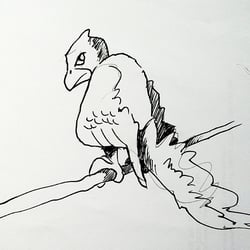 Vogel auf Ast