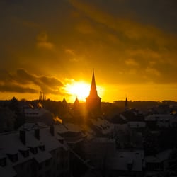 Golden Morning