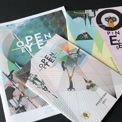Programmhefte (2011, 2012, 2013)