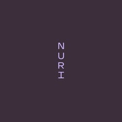 nuri newrealitybanking 6