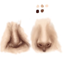 Digital Painting – Übung Nasen (Mensch)