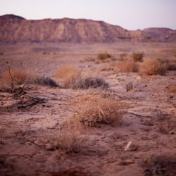 Negev Desert, Israel