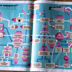 Diagramm
