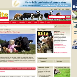 Website Elite