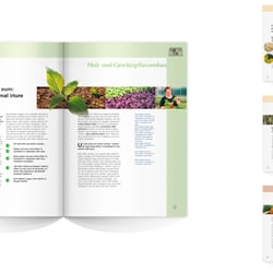 Gartenbau Bayern: Broschürenlayout (2005)