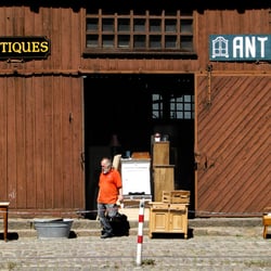 Portrait-Antiqes-vor-Holzha