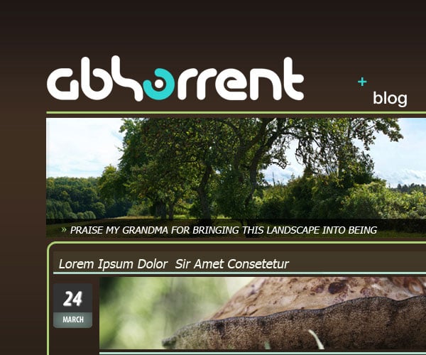 Detail Header