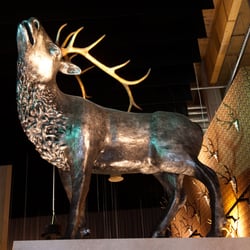 Der 3-Meter-Hirsch 3