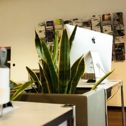 Agentur 2015-6339