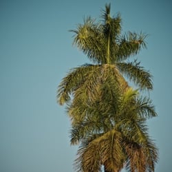 DSC 5722