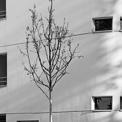 Gropiusstadt Berlin