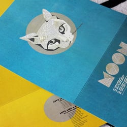 Moon – illustration, 12″ LP design, motion graphics