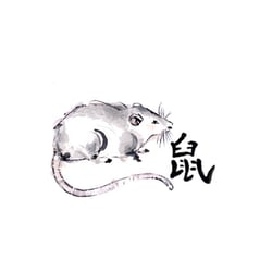 Ratte 2