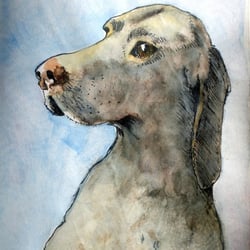Hund